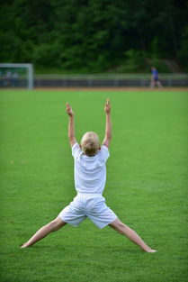 开云体育娱乐-高校运动训练动态管理机制探索,运动训练过程调控与参赛指导