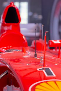 开云体育官网上-全国青少年旱地冰球锦标赛在哈尔滨精彩展开,旱地冰球比赛时间